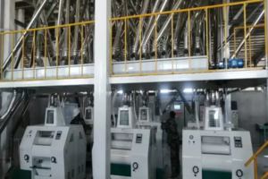 Linha de produção de grãos de milho e farinha de milho com capacidade de 100TPD