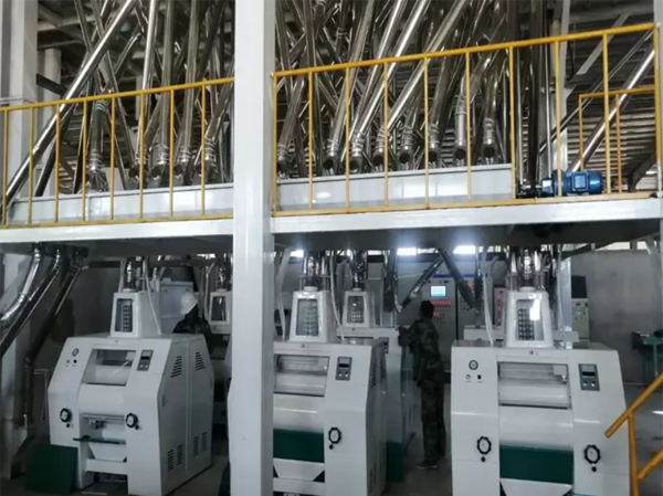 Linha de moagem de farinha de milho 50TPD