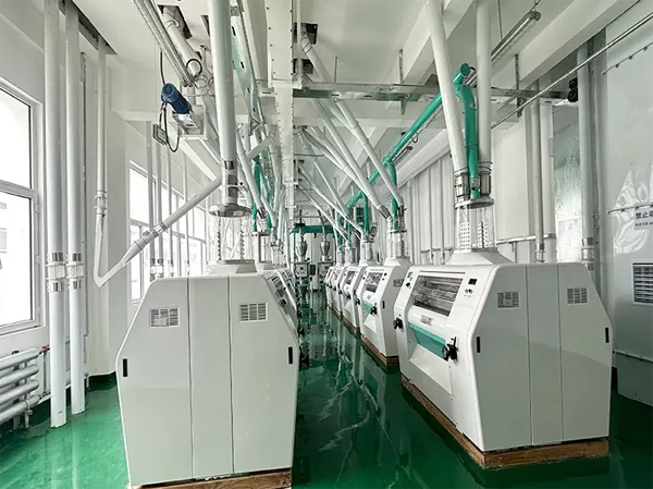 Linha de processamento de farinha de trigo de 150TPD