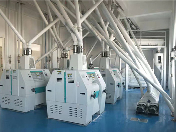 Linhas de produção de farinha de milho 200TPD-300TPD