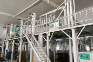 Máquina para moagem de farinha de milho com capacidade de 30-50TPD