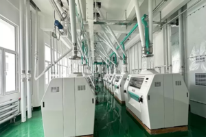 Linha de produção de farinha de trigo em grande escala de 600 toneladas
