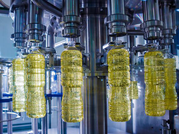 Máquina para processamento de óleo de gordura animal