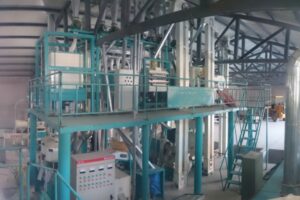 Máquina de Processamento de Farinha de Trigo Sarraceno