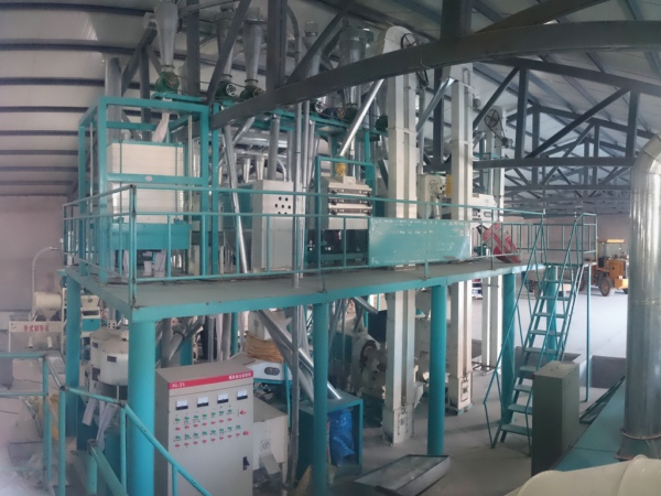 Linha de processamento de farinha de trigo 500TPD