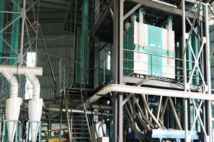 Máquina de Processamento de Grão-de-Bico