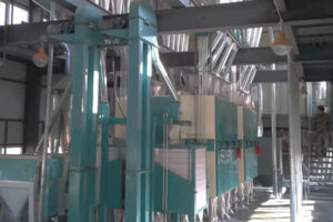 Preço da máquina de processamento de arroz comercial