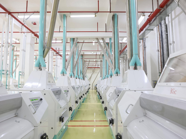 Linha de produção de farinha de trigo com processamento diário de 5000 t