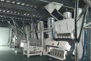 Fabricante de máquinas para processamento de grãos e leguminosas