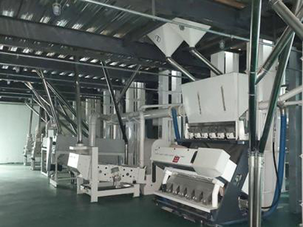 Fabricante de máquinas para processamento de grãos e leguminosas