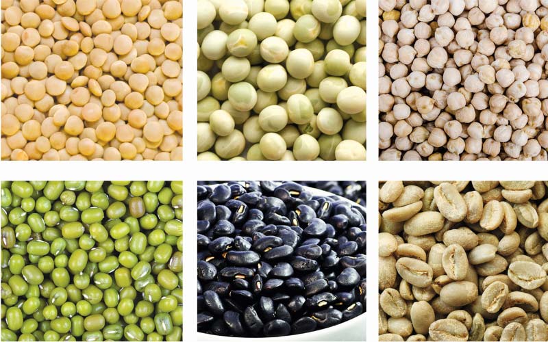 Fabricante de máquinas para processamento de farinha de grãos e leguminosas