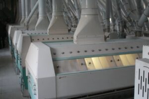 Máquina para processamento de flocos de farinha de aveia