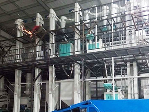 Fabricante de máquina de processamento de farinha de lentilha