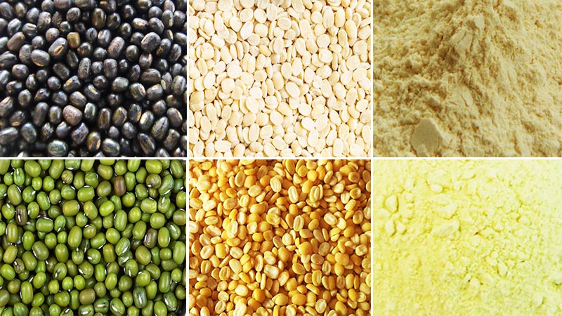 Fabricante de máquinas para processamento de feijão-mungo