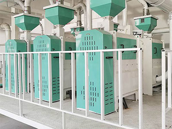 Fabricante de máquinas para processamento de ervilhas