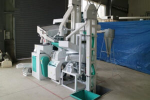 Máquina de Moagem de Milho e Fubá de Pequena Escala 5TPD