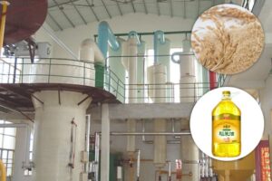 Linha de produção de óleo de farelo de arroz