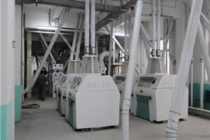 Fabricante de máquinas para processamento de soja