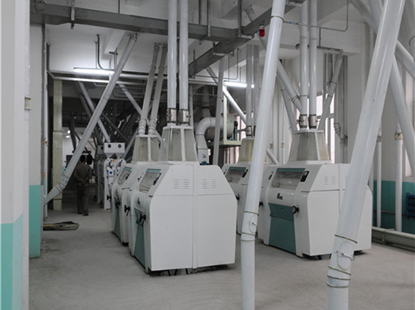 Fabricante de máquinas para processamento de soja