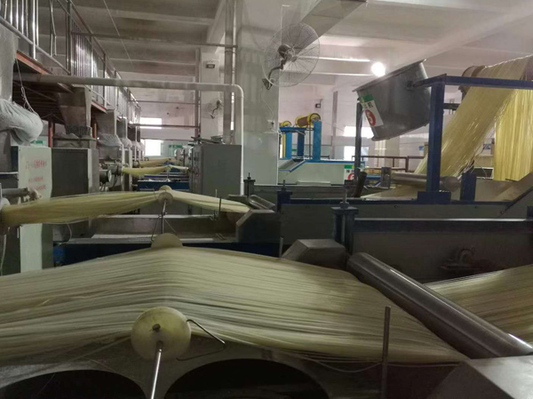 Fabricante de linha de produção de macarrão de arroz seco reto