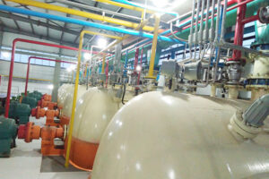 Fabricante de linha de produção de óleo de gérmen de trigo