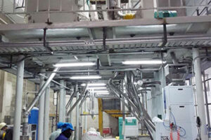 Máquina de processamento de Feijão Preto e Feijão Mungo