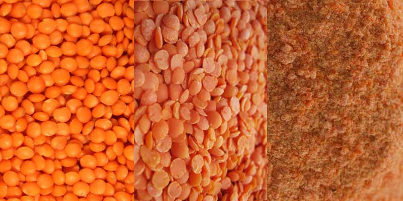 Fabricante de máquina de processamento de farinha de lentilha