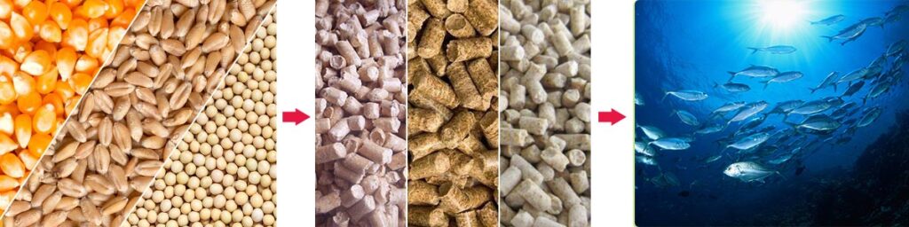 Características da linha de produção de ração para peixes