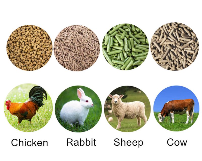 tecnologia de processamento de alimentos para animais