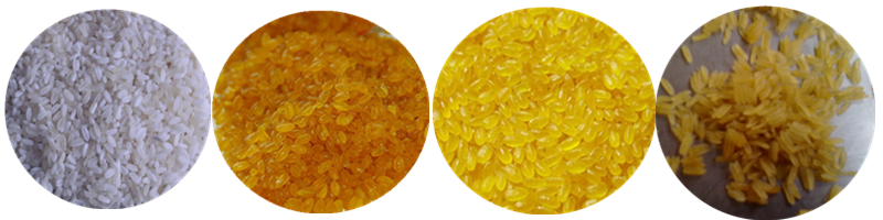 Imagem de amostra de arroz artificial