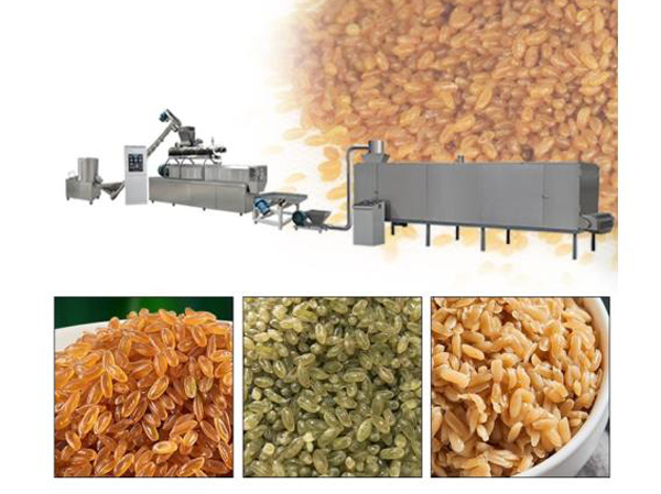 Fabricante de linha de produção de arroz composto para nutrição artificial