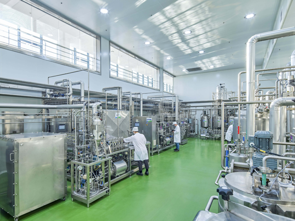 Fabricante de linha de produção totalmente automática de leite de amêndoas
